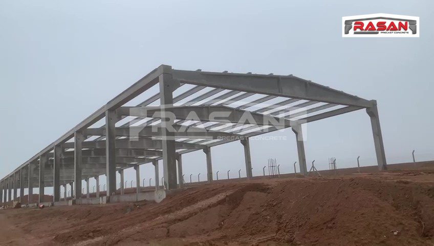 مشروع شركة أسماك الرافدين